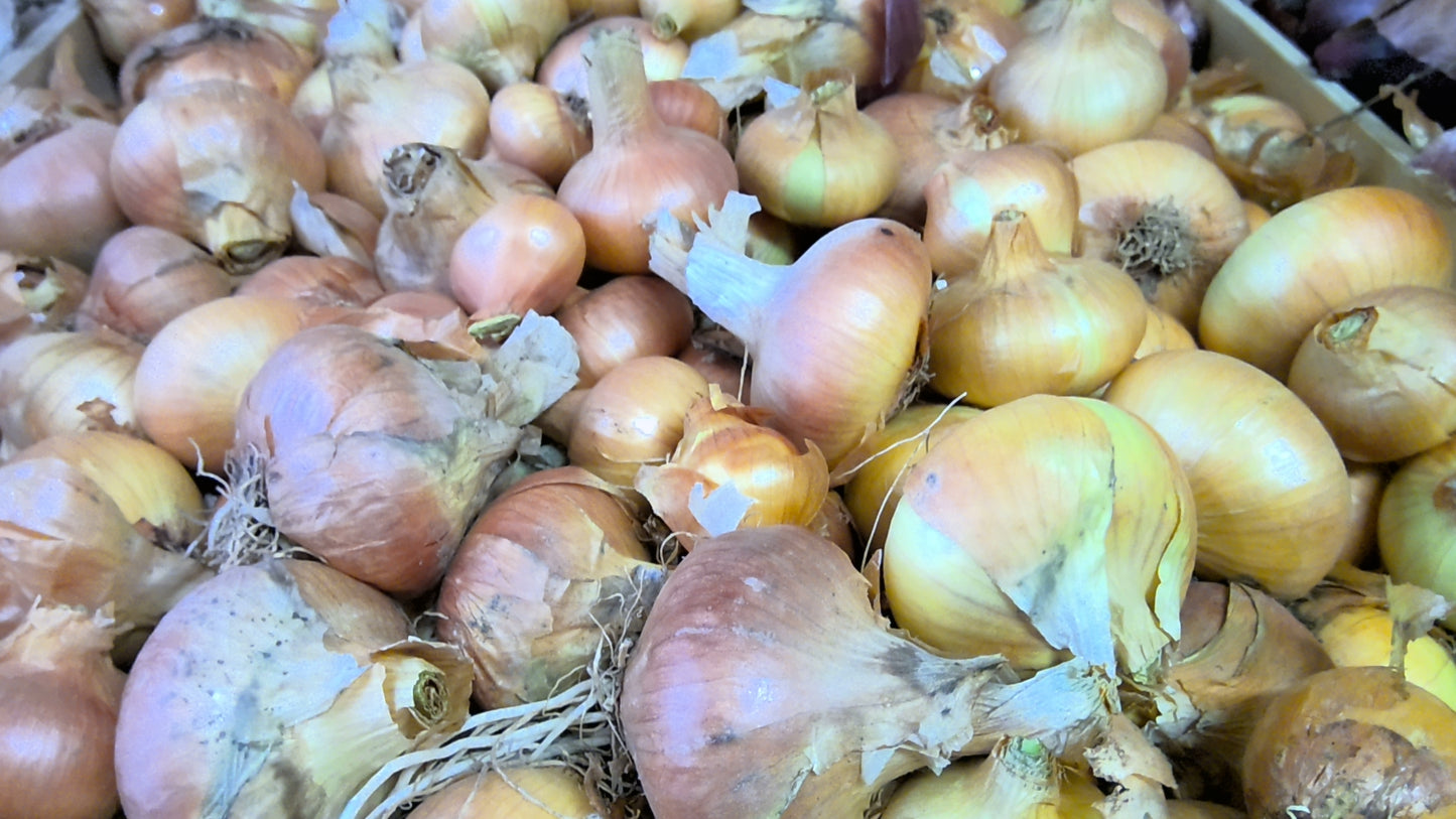 OIGNON JAUNE, 500g