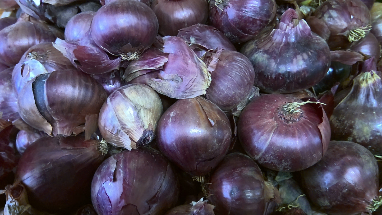 OIGNON ROUGE, 200g