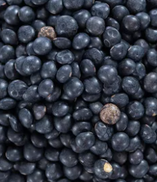 LENTILLES BELUGA, 500g