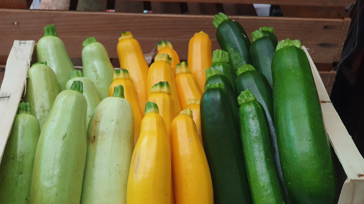 COURGETTE LONGUE, KG