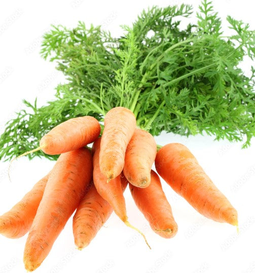 CAROTTES, NANTAISES