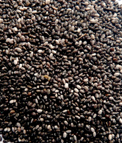 GRAINES DE CHIA, 250g