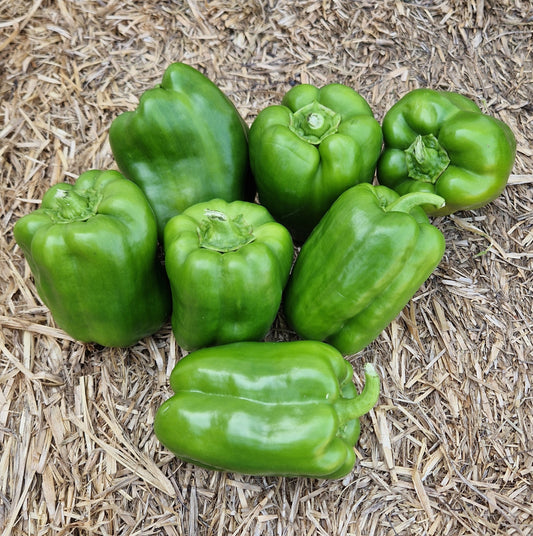POIVRONS, KG