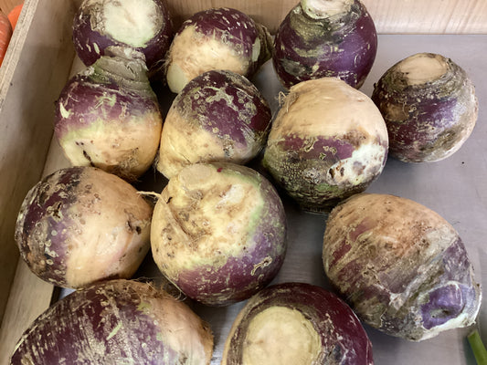 RUTABAGA