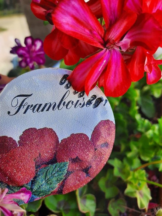 YAOURT FRAMBOISE