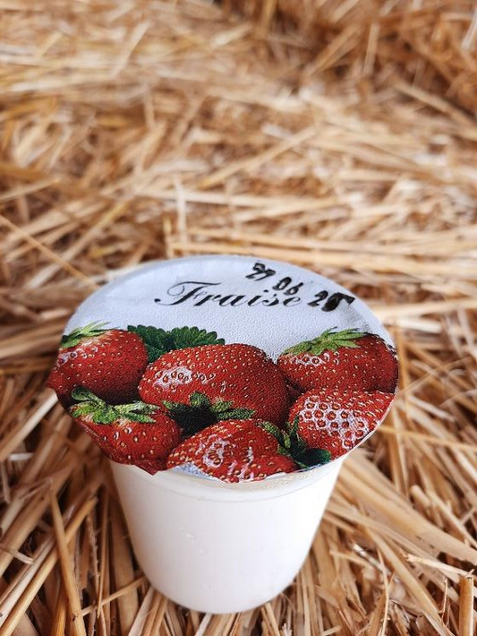 YAOURT FRAISE