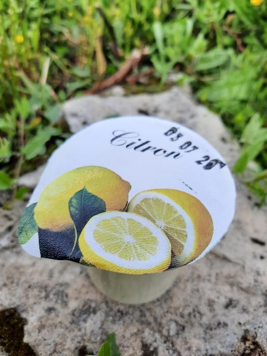 YAOURT CITRON