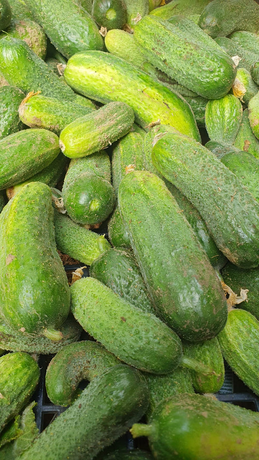 CORNICHONS