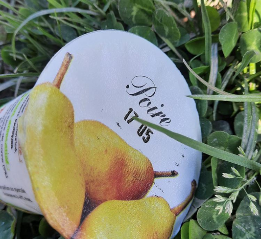 YAOURT POIRE