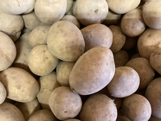 POMME DE TERRE JAUNE