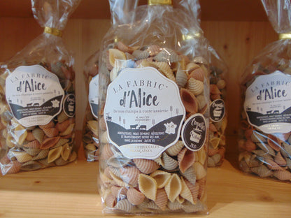 PATES COQUILLES TRIO 300g