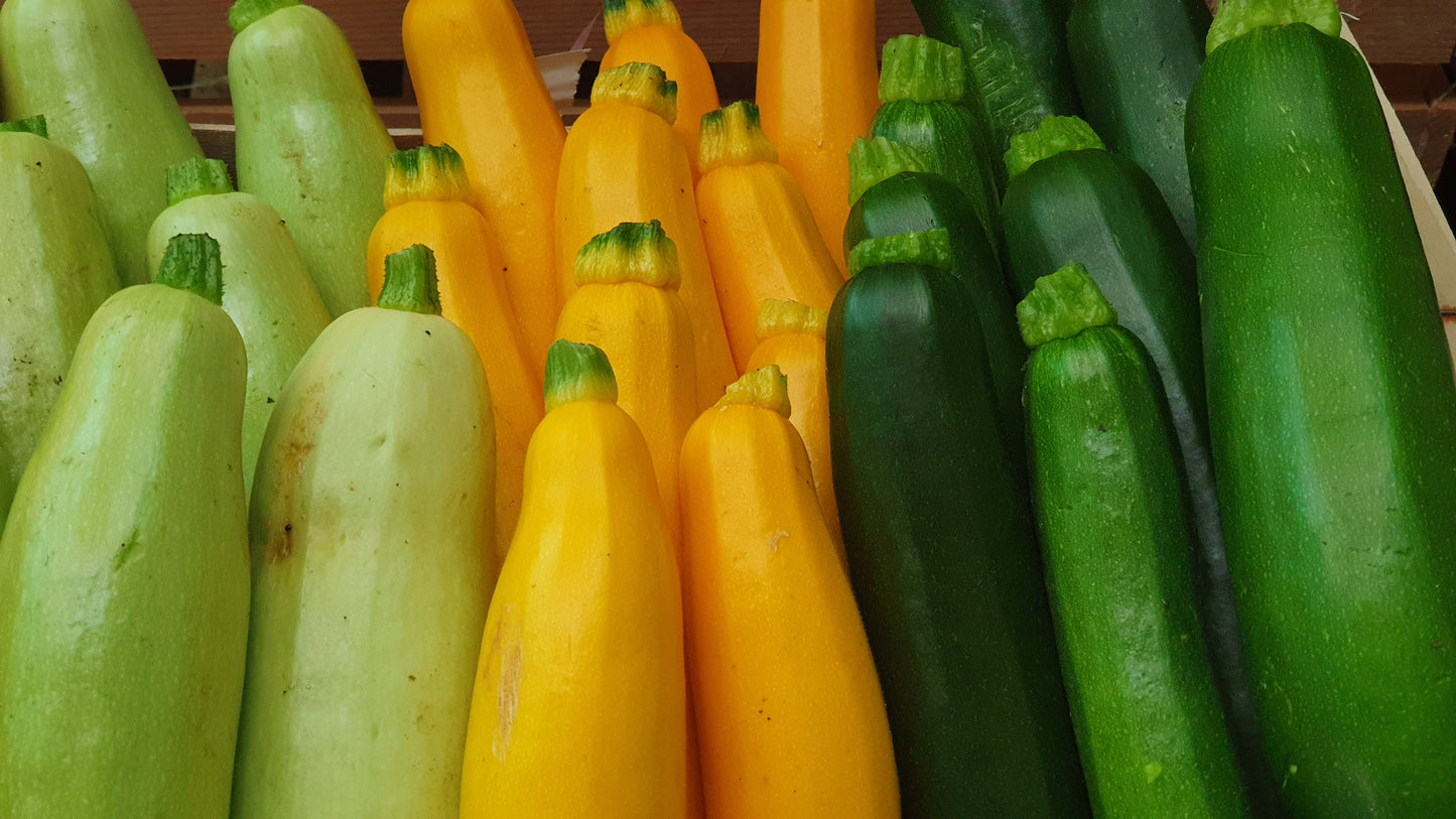 COURGETTE LONGUE, KG