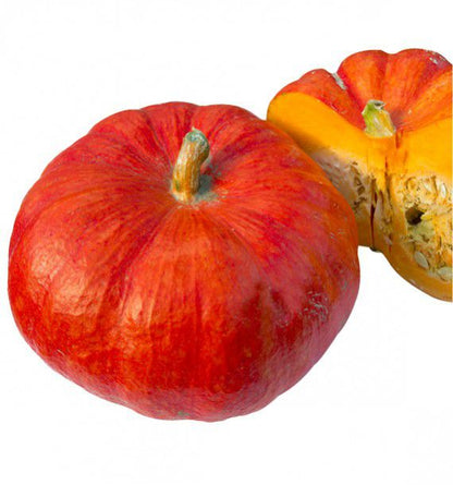 POTIRON ROUGE VIF D'ÉTAMPES