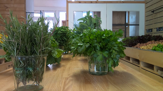 BOUQUET D'AROMATE