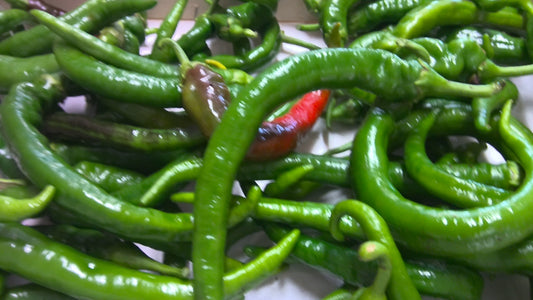 PIMENT DES LANDES