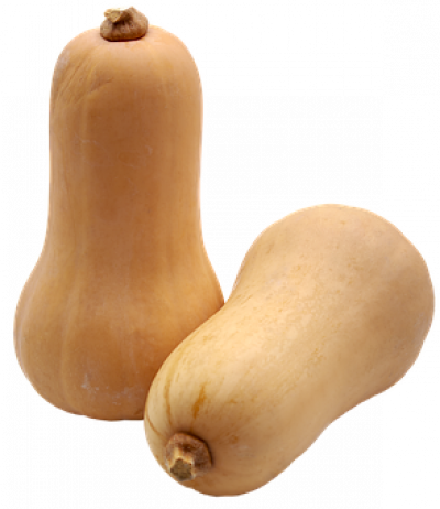 COURGE, BUTTERNUT
