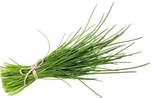 CIBOULETTE